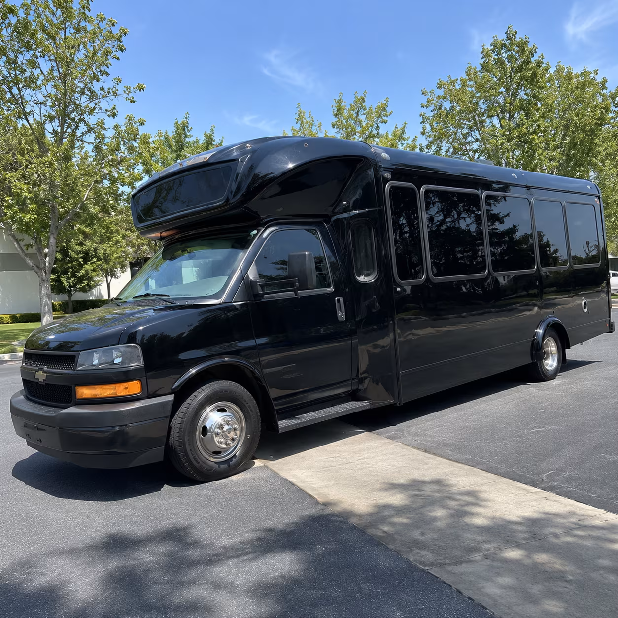 ogden 15 passenger party bus